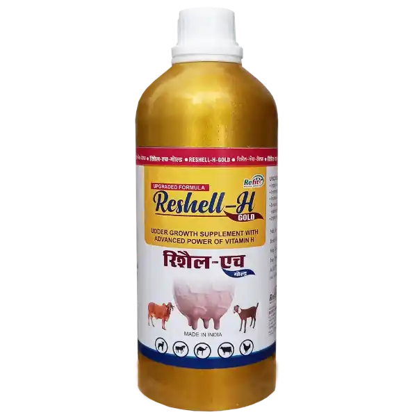 Reshell-H Gold - Vitamin-H For Cattle & Poultry - 1 Ltr - Set of 12
