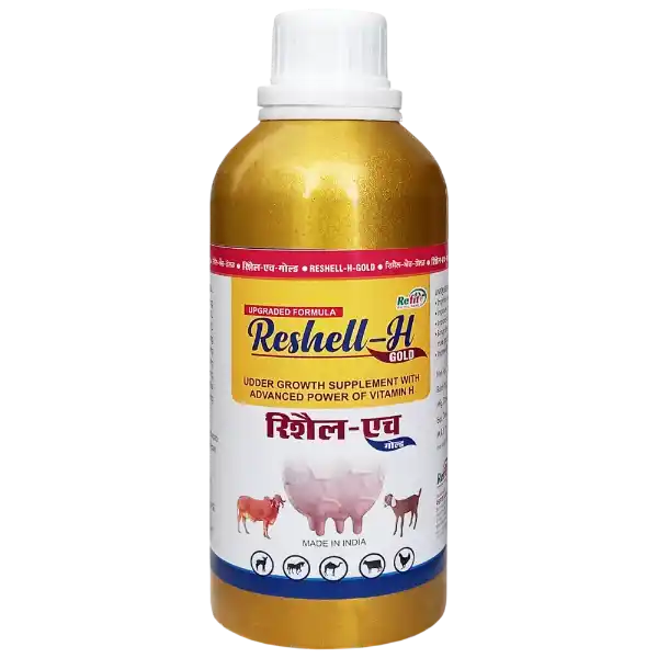 Reshell-H Gold - Vitamin-H For Cattle & Poultry - 500 ml - Set of 20