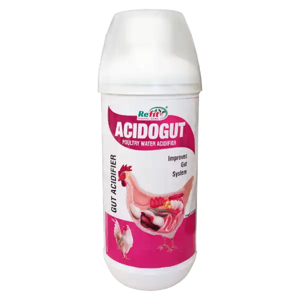 Acido Gut - Acidifier For Poultry - 1 Ltr - Set of 12