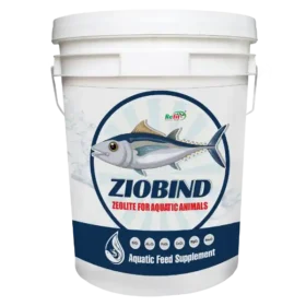 ziolite for aquaculture