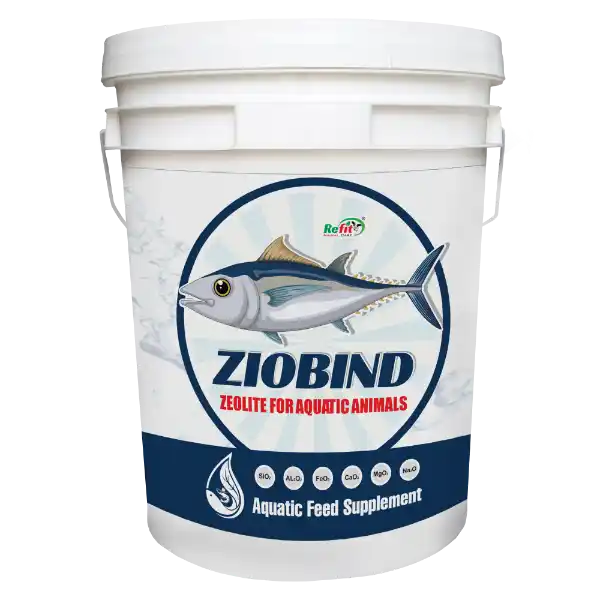 Ziobind - Ziolite For Aquatic Animals - 10 Kg - Set of 4