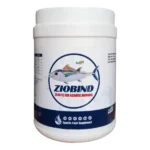 Ziobind - Ziolite For Aquatic Animals - 1 Kg - Set of 12