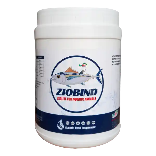 Ziobind - Ziolite For Aquatic Animals - 1 Kg - Set of 12