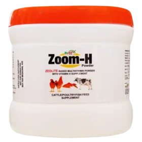 zoom h