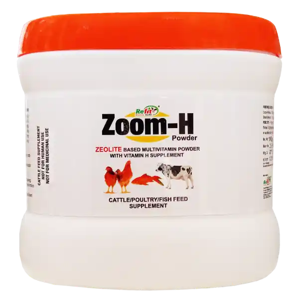 Zoom-H Zeolite Based Multivitamin For Cattle Poultry & Aqua - 1 Kg - Set of 12