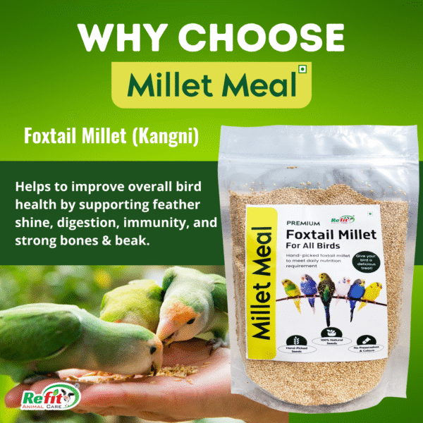 Millet Meal - Foxtail Millet Bird Food - 450 gm - Set of 25 - Image 4