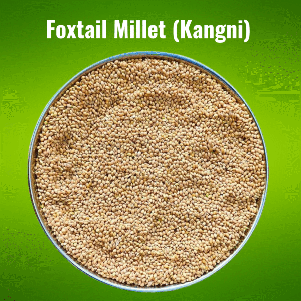 Millet Meal - Foxtail Millet Bird Food - 450 gm - Set of 25 - Image 2