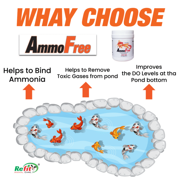 Ammofree - Ammonia Binder With Yucca Extract for Aquaculture - 1 Kg - Set of 8 - Image 5
