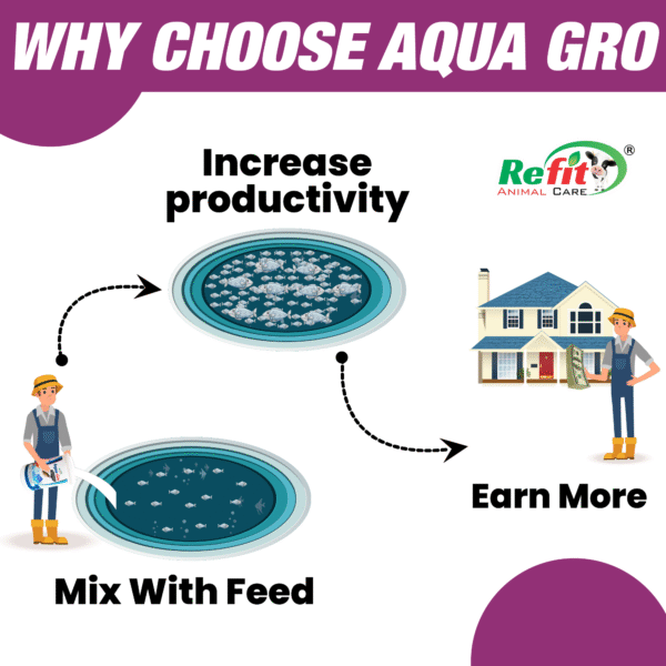 Aqua-Gro - Growth Promoter For Fishes - 1 Kg - Set of 12 - Image 5