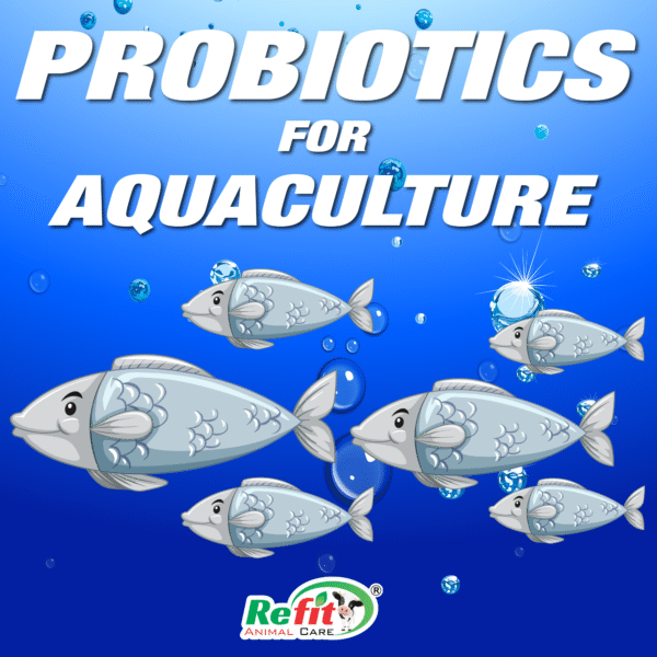 Aqua Prob+ - Probiotics For Fishes - 1 Kg- Set of 16 - Image 5