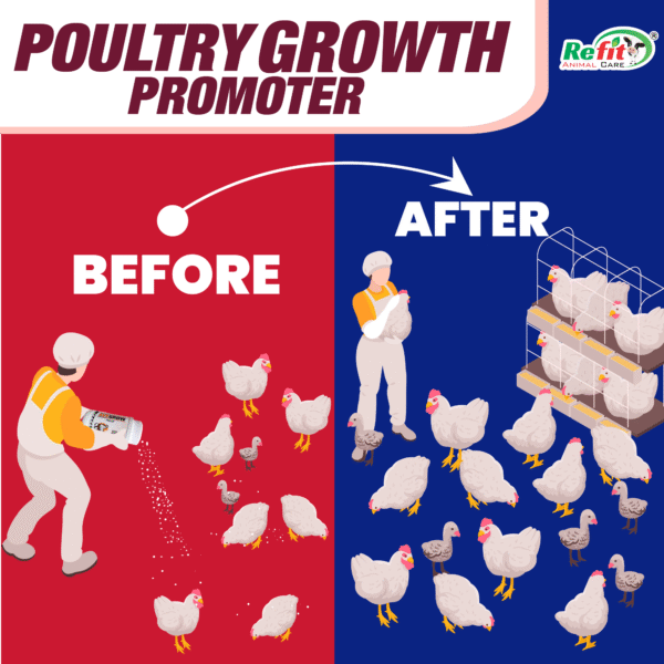 AveGrow - Poultry Growth Promoter - 3 Kg - Set of 6 - Image 5