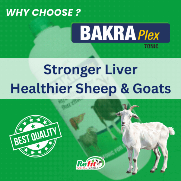 Bakra Plex - Liver Tonic for Sheep & Goat - 1 Ltr - Set of 12 - Image 5