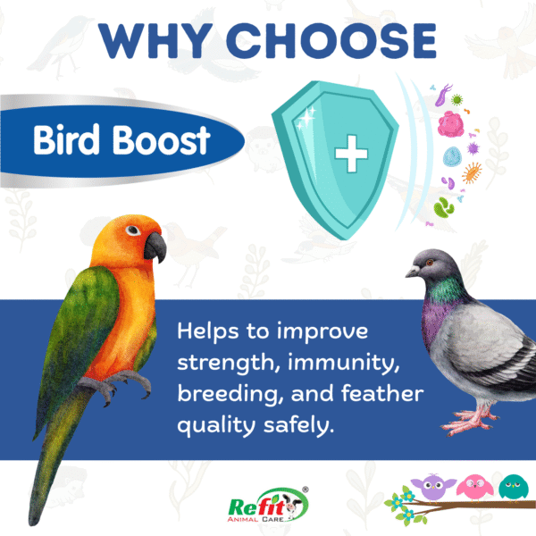 Bird Boost - Immunity Booster For Birds - 100 ml (set of 96) - Image 4