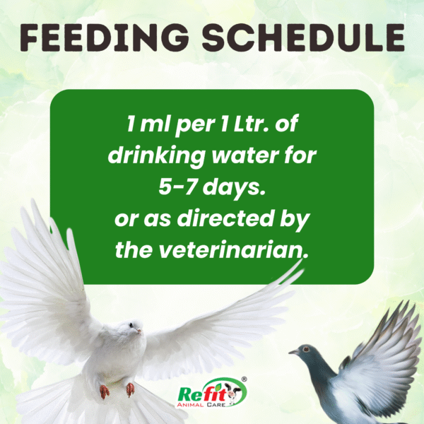 breed boost feeding