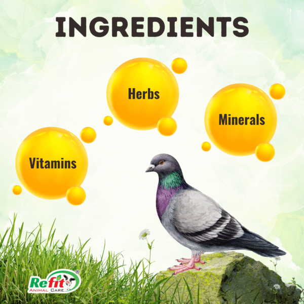 breed boost ingredients