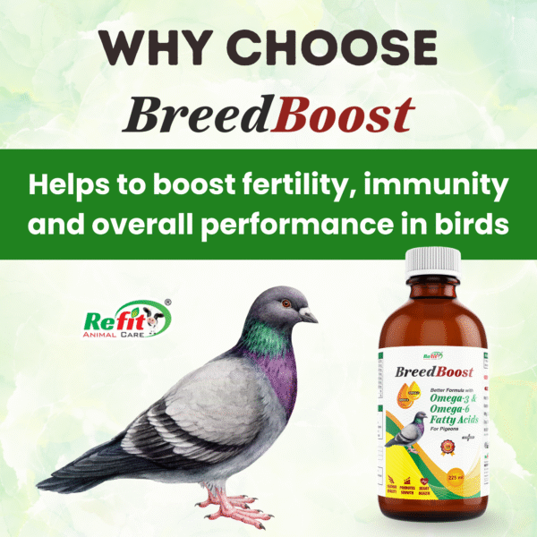 breed boost why choose
