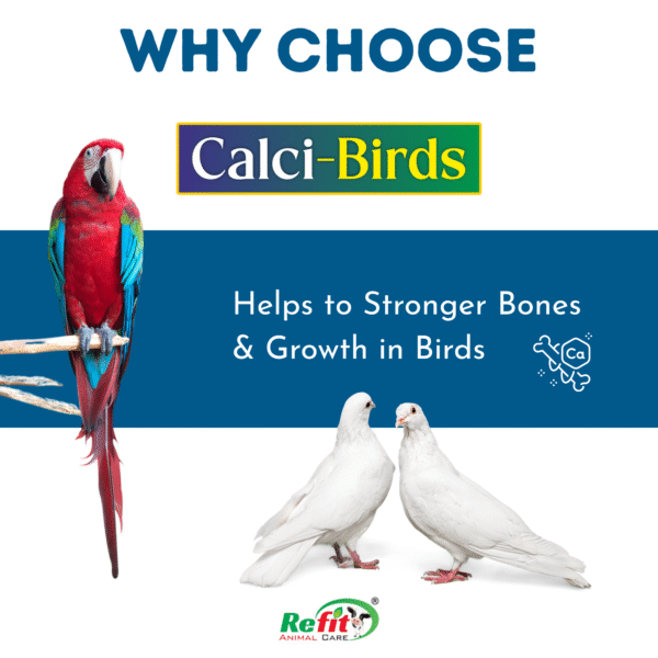 Calci Bird - Calcium Powders For Birds - 200 gm (set of 30) - Image 3