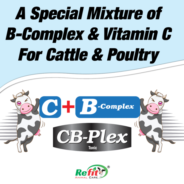 CB Plex - B-Complex For Cattle & Poultry - 1 Ltr - Set of 12 - Image 5