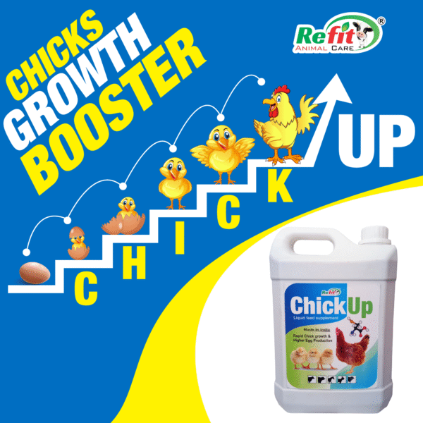 Chick Up - Chicks Growth Promoter - 5 Ltr - Set of 6 - Image 5