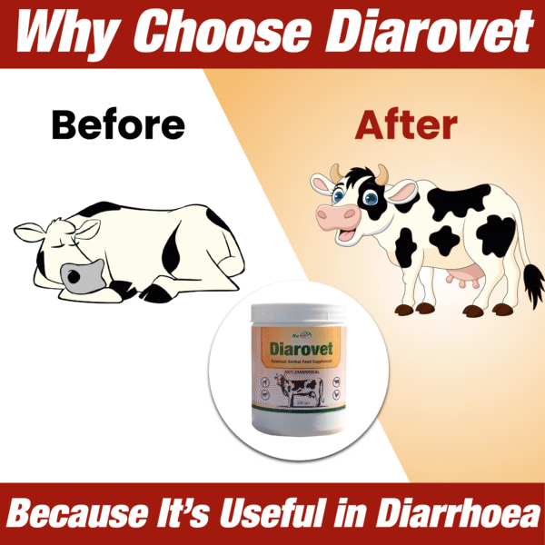 Diarovet - Anti-Diarrhoeal Powder For Cattle - 200 gm (Set of 30) - Image 3