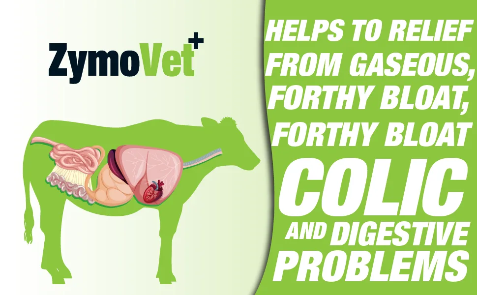 digestive enzymes for animals