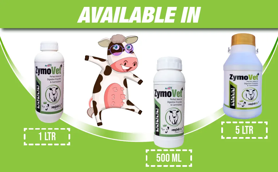 digestive enzymes for livestock