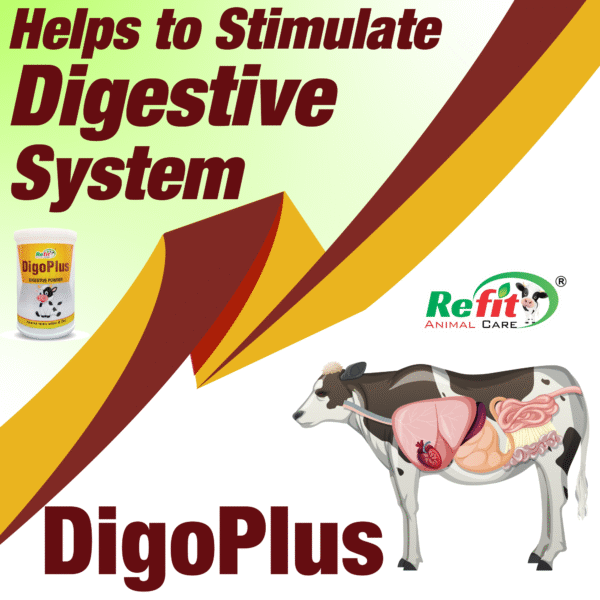 DigoPlus - Digestive Powder For Cattle - 300 gm (Set of 40) - Image 5