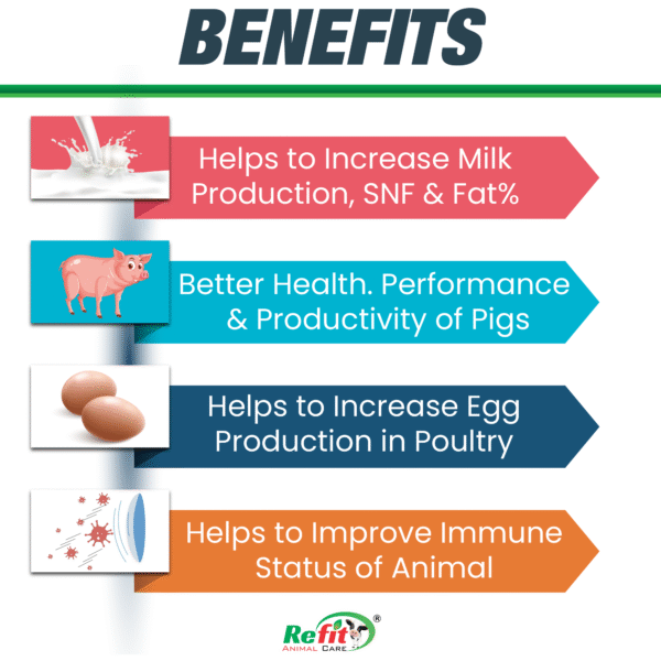 Doodh Gain - Glycine Chelated Mineral Mixture For Cattle & Poulty - 20 Kg - Set of 2 - Image 2