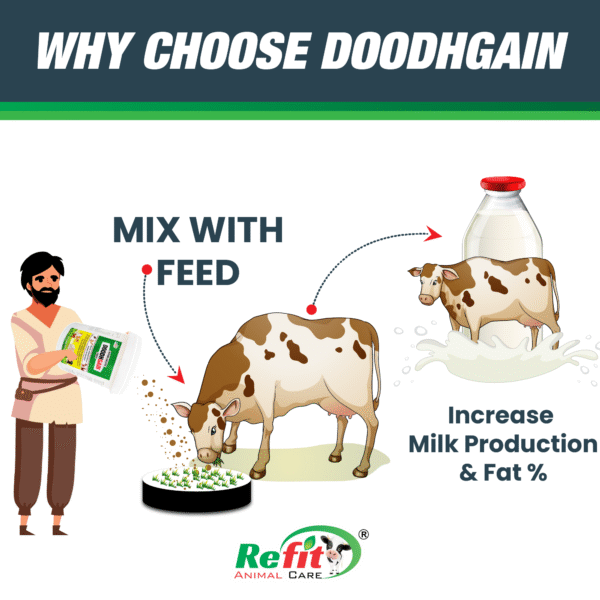 Doodh Gain - Glycine Chelated Mineral Mixture For Cattle & Poulty - 20 Kg - Set of 2 - Image 5