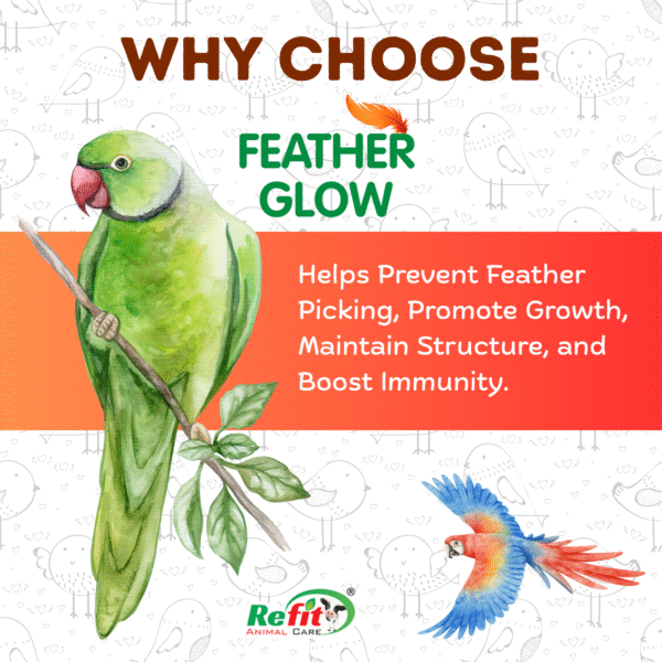 Featherglow - Tonic For Wings Growth - 100 ml (set of 96) - Image 4