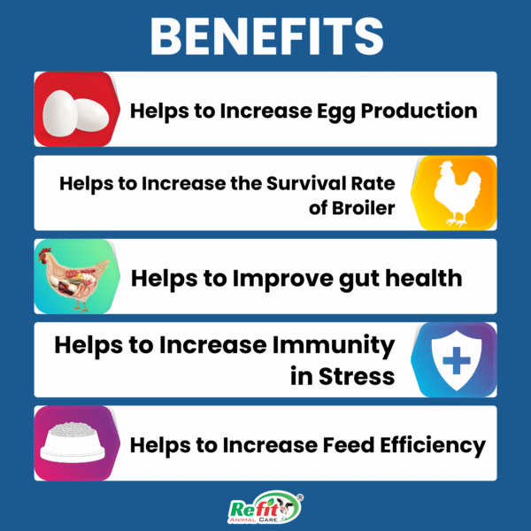 Florazone - Prebiotics & Probiotics For Poultry - 10 Kg - Set of 4 - Image 2