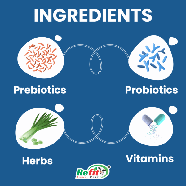 Florazone - Prebiotics & Probiotics For Poultry - 10 Kg - Set of 4 - Image 3