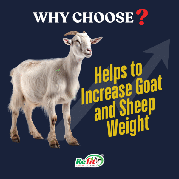 Gro-Mass+ - Liquid Weight Gainer for Sheep & Goat - 5 Ltr (Set of 6) - Image 2