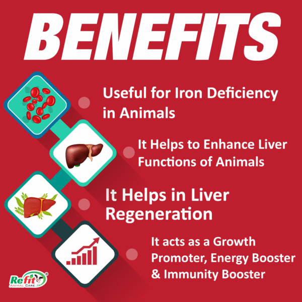 Hemliv+ - Liver Tonic With Iron For Cattle & Poultry - 5 Ltr - Set of 6 - Image 2