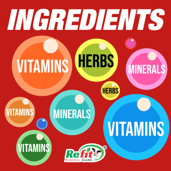 I-Jelly - Malt Based Iron Supplement For Cattle & Poultry - 5 Kg - Set of 6 - Image 4
