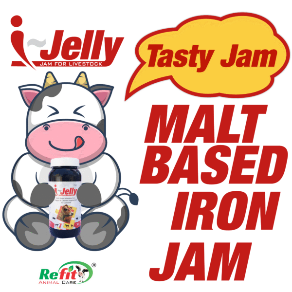 I-Jelly - Malt Based Iron Supplement For Cattle & Poultry - 5 Kg - Set of 6 - Image 5