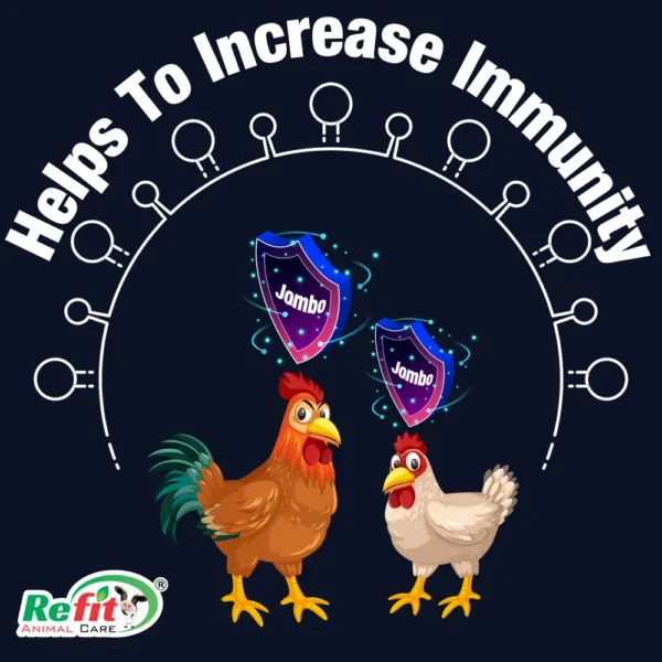 Jombo - Immunity Booster For Poultry - 5 Ltr - Set of 6 - Image 4