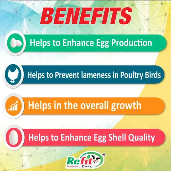 Lam Tone - Remedy For Lameness In Poultry - 1 Ltr (Set of 12) - Image 2