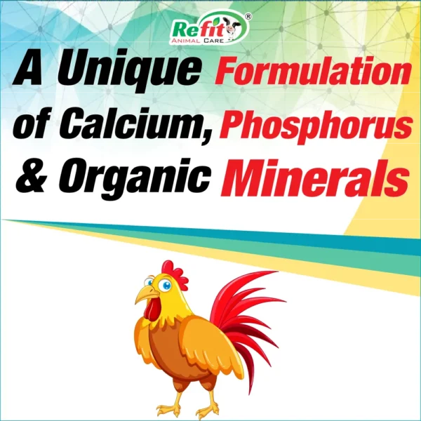 Lam Tone - Remedy For Lameness In Poultry - 1 Ltr (Set of 12) - Image 3