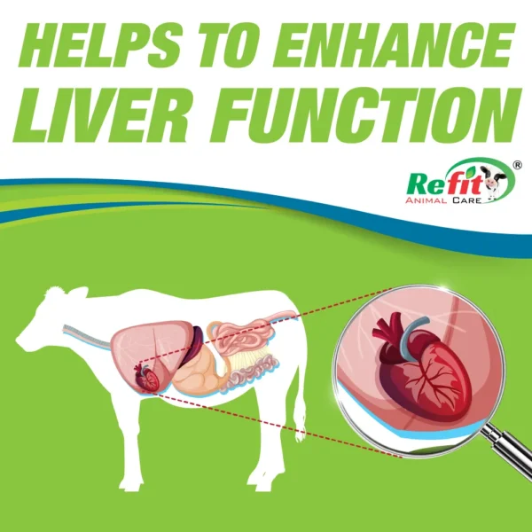 Livo Zip - Anti-Fungal Liver Tonic For Cattle & Poultry - 1 Ltr - Set of 12 - Image 3