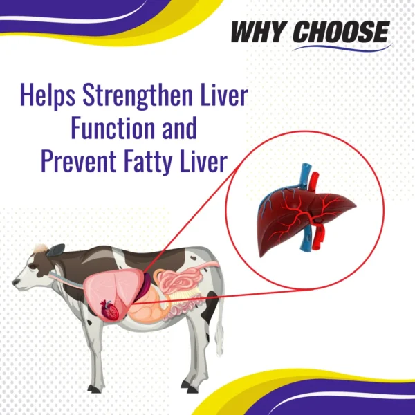 Metarol - Liver Tonic For Cattle & Poultry - 1 Ltr - Set of 12 - Image 4