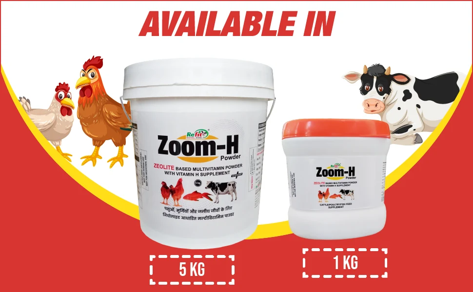 multivitamin powder for aniamls