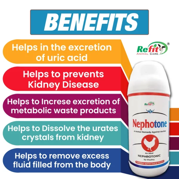 Nephotone - Nephrotonic For Poultry - 1 Ltr (Set of 12) - Image 5