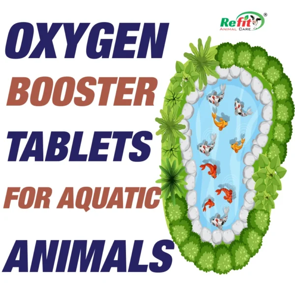 Oxyforte - Oxygen Releasing Tablets for Aquaculture - 250 gm - Set of 40 - Image 5