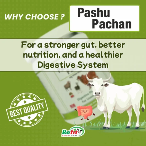 Pashu Pachan - Herbal Digestive Powder For Cattle - 250 gm (set of 36) - Image 2