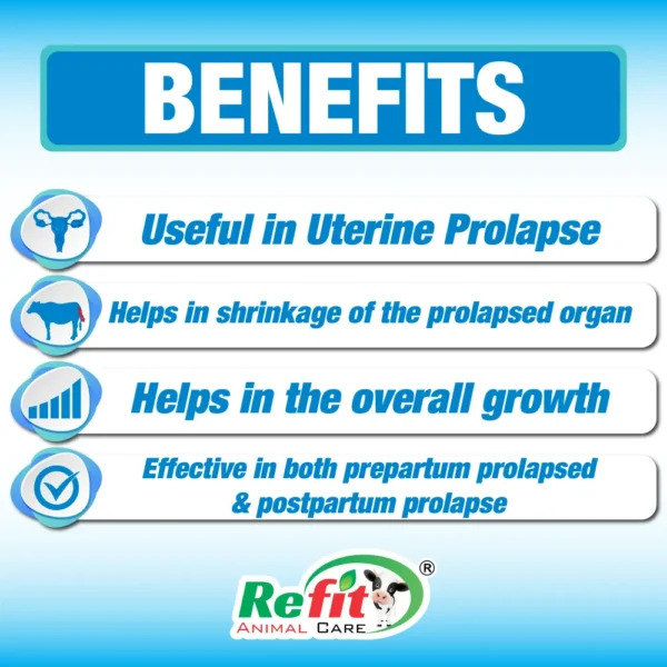 Prolaprid - Powder For Prolapse in Cattle - 500 gm (Set of 30) - Image 2