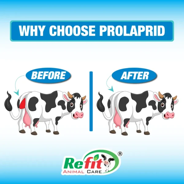 Prolaprid - Powder For Prolapse in Cattle - 500 gm (Set of 30) - Image 4