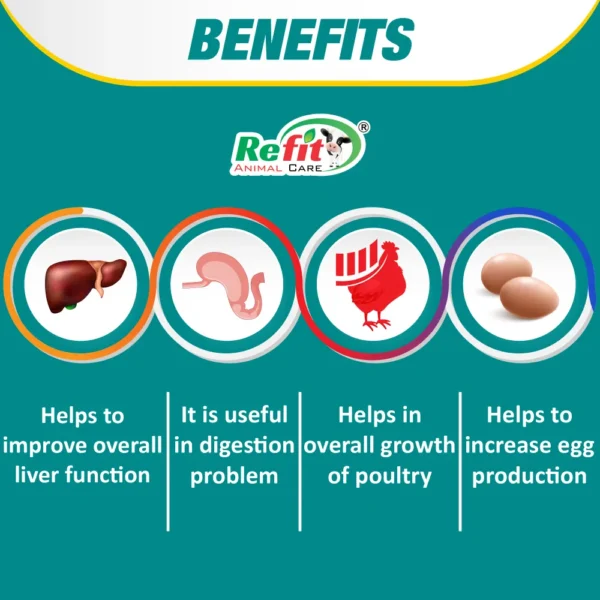 R-Tone - Herbal Liver Tonic For Poultry - 1 Ltr - Set of 12 - Image 2