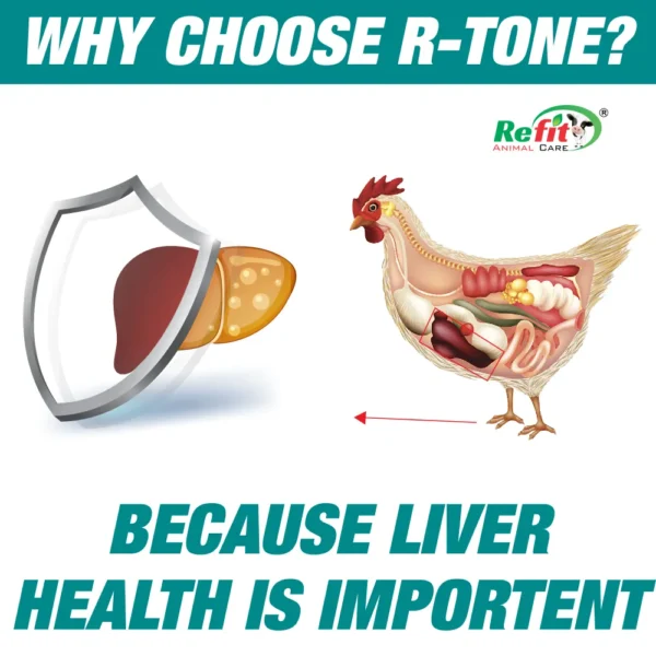 R-Tone - Herbal Liver Tonic For Poultry - 1 Ltr - Set of 12 - Image 3