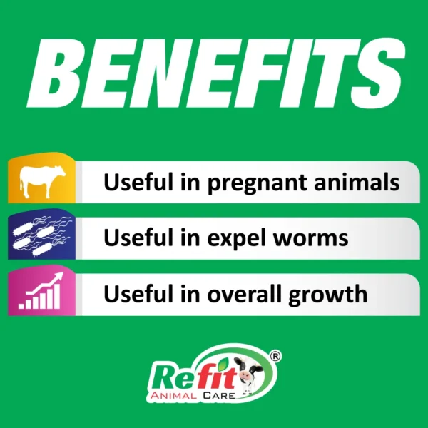 R-Worm - Herbal Dewormer - Single Bolus Back (Set of 500) - Image 5